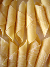 garganelli: 6. obrázek